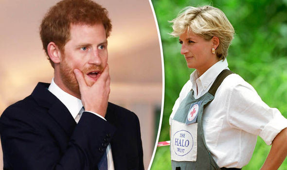Prince Harry to continue his mother’s crusade against landmines