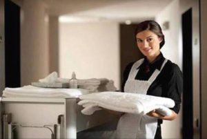 South Kensington Apartment Housekeeping